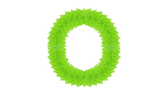 Alfabeto inglés hecho de hojas verdes — Foto de Stock