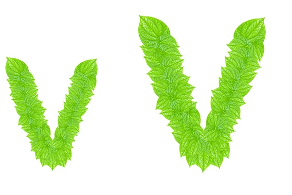 Anglická abeceda z zelené listy — Stock fotografie