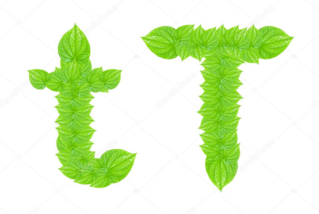 English alphabet made from green leafs