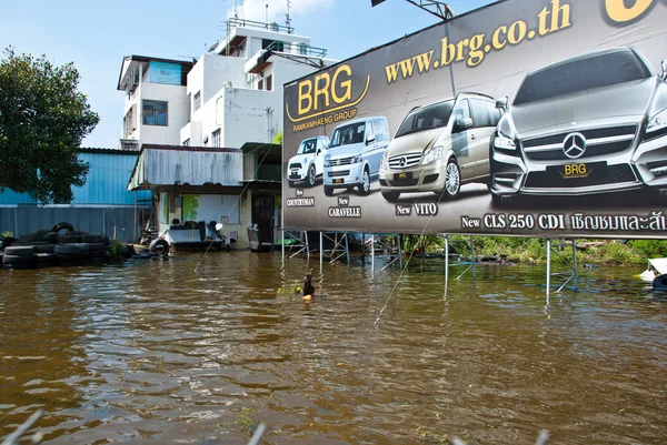Bangkok worst flood in 2011