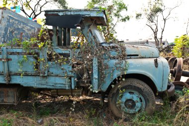 Old vintage rusty truck cover in plants clipart