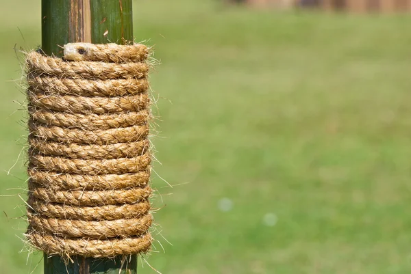 Большая веревка на бамбуковом дереве с зеленой травой в качестве фона — стоковое фото
