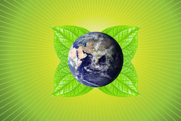 Green earth with leafs on green background — Stock Photo, Image