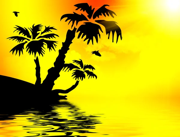 stock image Palm trees silhouette at sunset