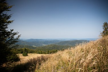 Güney Doğu Polonya Bieszczady Dağlar