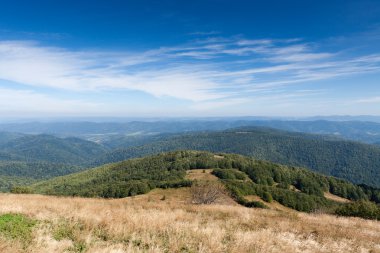 Güney Doğu Polonya Bieszczady Dağlar