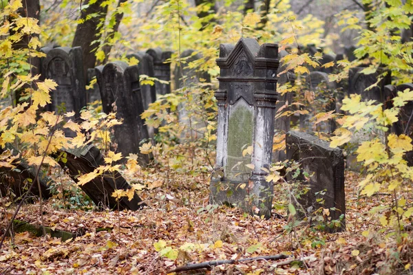 Старое еврейское кладбище — стоковое фото