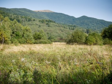 Güney Doğu Polonya Bieszczady Dağlar