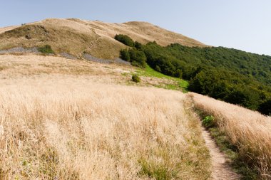 Güney Doğu Polonya Bieszczady Dağlar