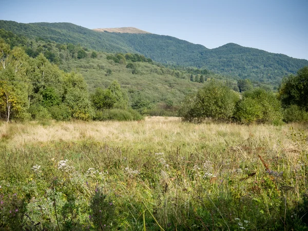 Stock image Bieszczady mountains in south east Poland