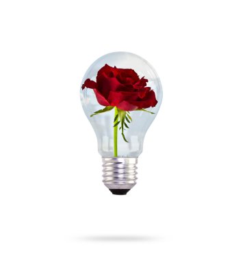 Light bulb with beautiful rose flower inside clipart