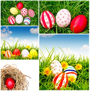 Collection of Easter Eggs on Fresh Green Grass clipart