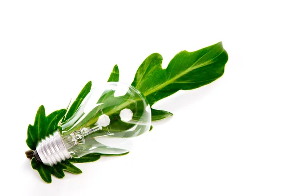 Light bulb and leaf — Stock Photo, Image