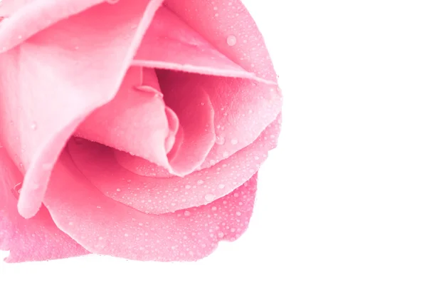 Романтичний вінтажний фон троянди — стокове фото
