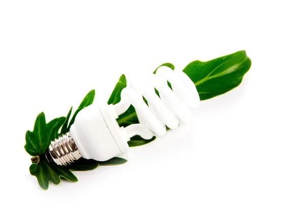 Light bulb and leaf — Stock Photo, Image