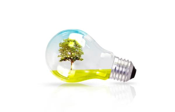 Glödlampa med träd inne — Stockfoto
