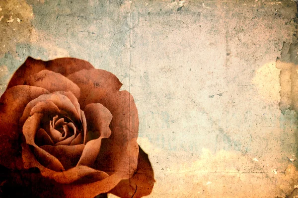 Empty grunge paper with red rose — Stock Photo, Image