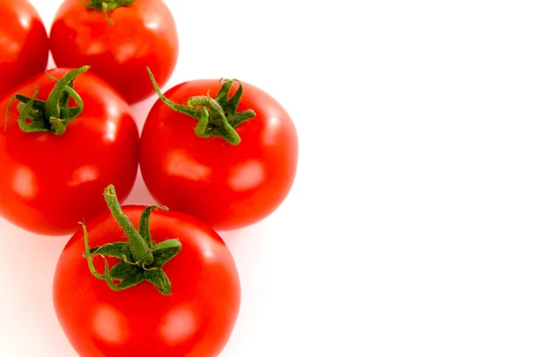 Tomaten — Stockfoto