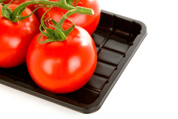 Tomaten — Stockfoto