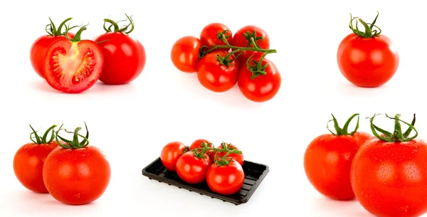 Samling av tomater — Stockfoto