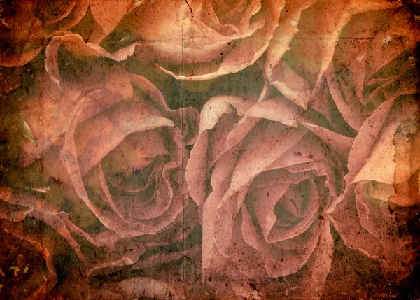 Szüreti rózsa — Stock Fotó