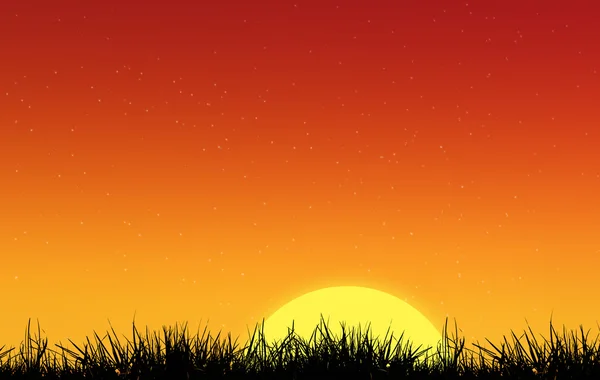 Silhouette of sun and grass — Stock Photo, Image