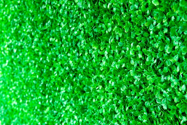 Artificial Grass — Stock Photo, Image