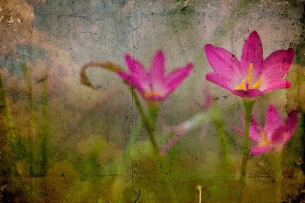 Grunge-Papier mit rosa Blume — Stockfoto