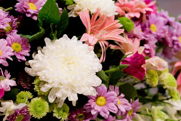 Rose flower on the wedding — Stock Photo, Image