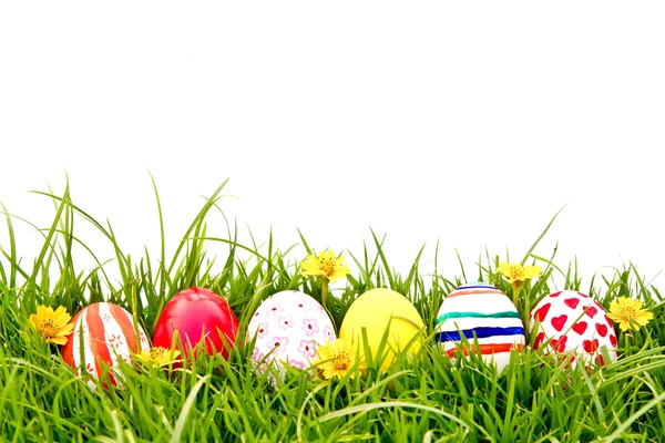 Velikonoční vejce s květem na čerstvé zelené trávě — Stock fotografie