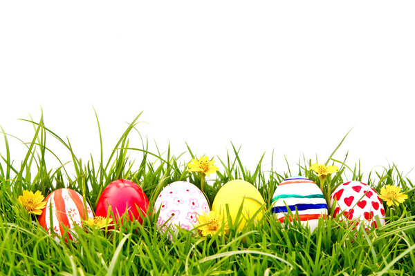 Easter Eggs with flower on Fresh Green Grass