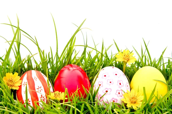 Huevos de Pascua con flor en hierba verde fresca — Foto de Stock