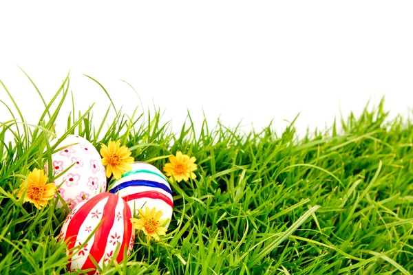 Пасхальні яйця з квіткою на траві свіжий зелений — стокове фото