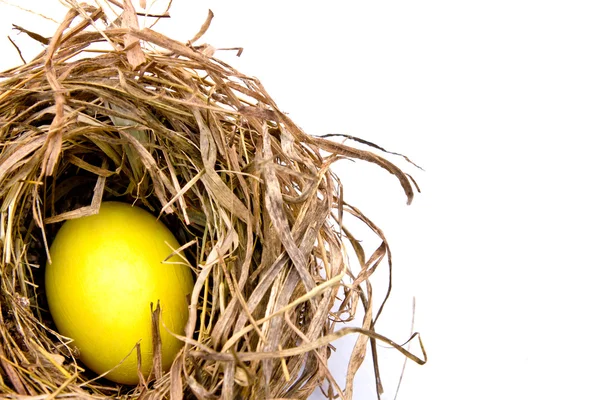 Huevos de Pascua en red seca aislados en blanco —  Fotos de Stock