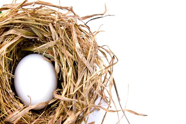 Uova di Pasqua in rete asciutta isolate su bianco — Foto Stock