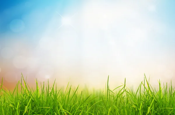 春天自然背景与在后面的草和蓝色天空 — 图库照片