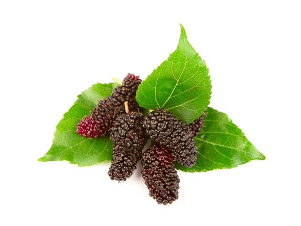 Mulberry met bladeren geïsoleerd op een witte achtergrond — Stockfoto