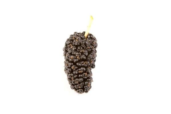 Mulberry geïsoleerd op een witte achtergrond — Stockfoto