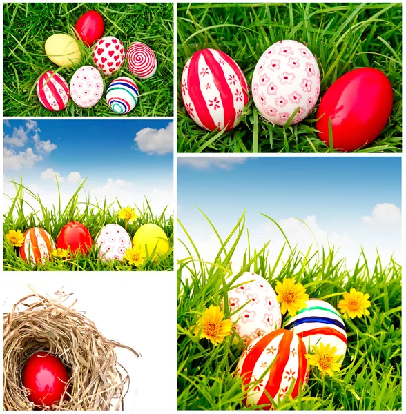 stock image Collection of Easter Eggs on Fresh Green Grass