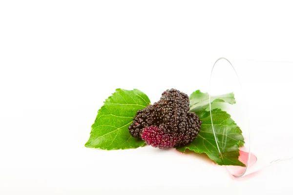 Mulberry with the glass — Stock Photo, Image
