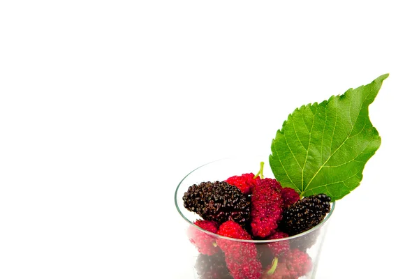 Mulberry SAP in het glas — Stockfoto