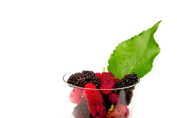 Mulberry SAP in het glas — Stockfoto