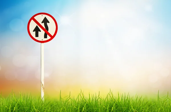 Дорожній знак і свіжа весняна зелена трава — стокове фото