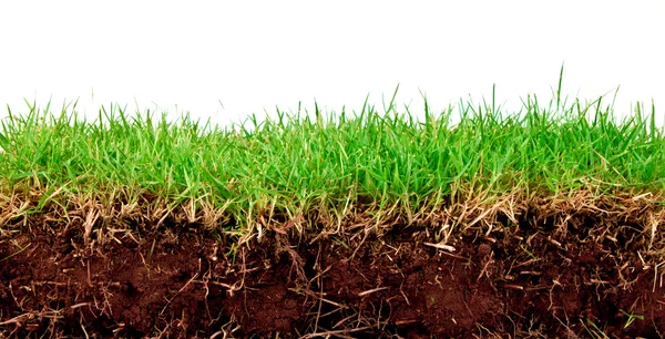 Ανοιξιάτικα πράσινο γρασίδι με το χώμα που απομονώνονται σε λευκό φόντο. — Φωτογραφία Αρχείου