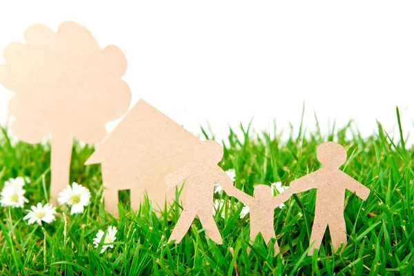 Taglio di carta di famiglia con casa e albero su verde di primavera fresco — Foto Stock