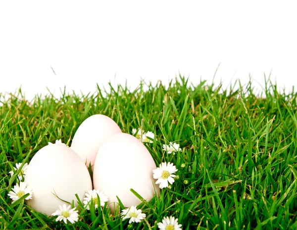 Eieren in het gras met bloem — Stockfoto