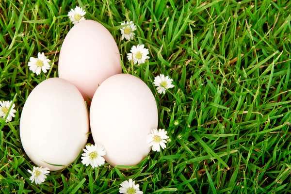 Яйца в траве с цветами — стоковое фото