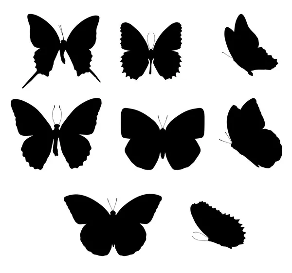 Silueta motýl — Stock fotografie
