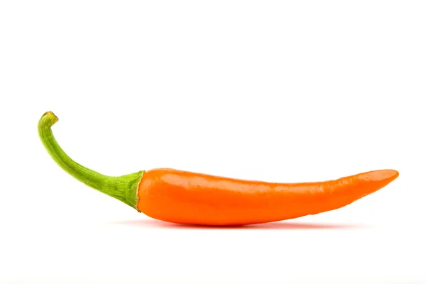 Orangr pimenta quente isolada em um fundo branco — Fotografia de Stock