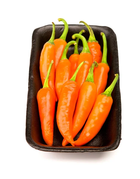 Orangr hot chili pieprz na białym tle na białym tle — Zdjęcie stockowe